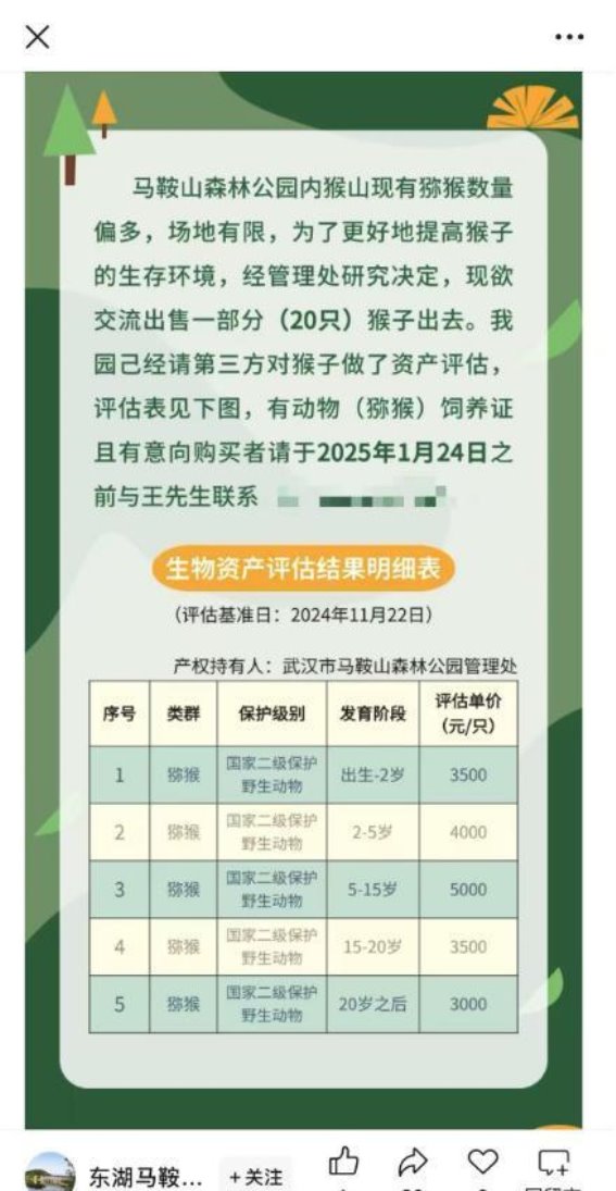 武汉马鞍山森林公园猕猴出售事件引发广泛关注，已暂停活动