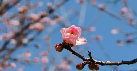 珠水之畔的文化新篇章