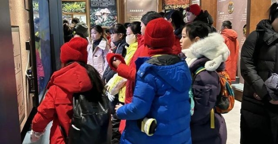 凤凰山冰雪研学之旅：探寻自然与历史的交汇点