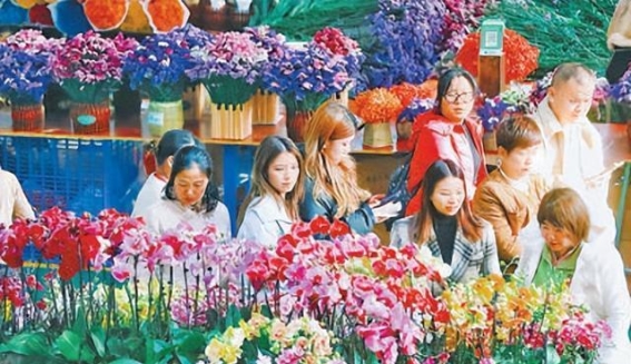 冬日里的自然探秘，寻找不一样的冬季之美