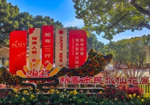 水仙花开，春意浓——共青森林公园迎春水仙花展