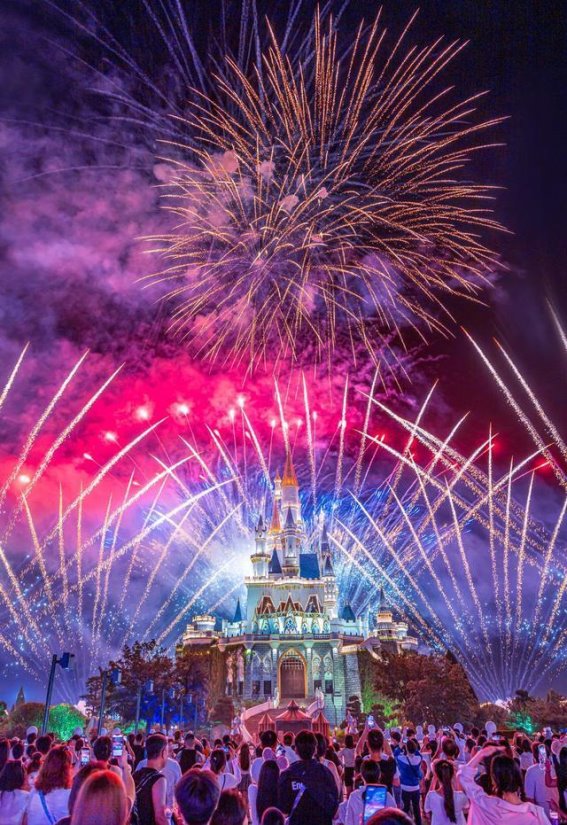 春节游的高性价比与多样化选择