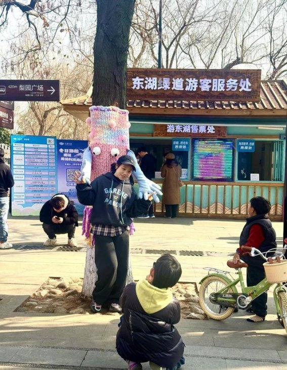 东湖绿道的毛衣树：冬日里的温暖奇迹