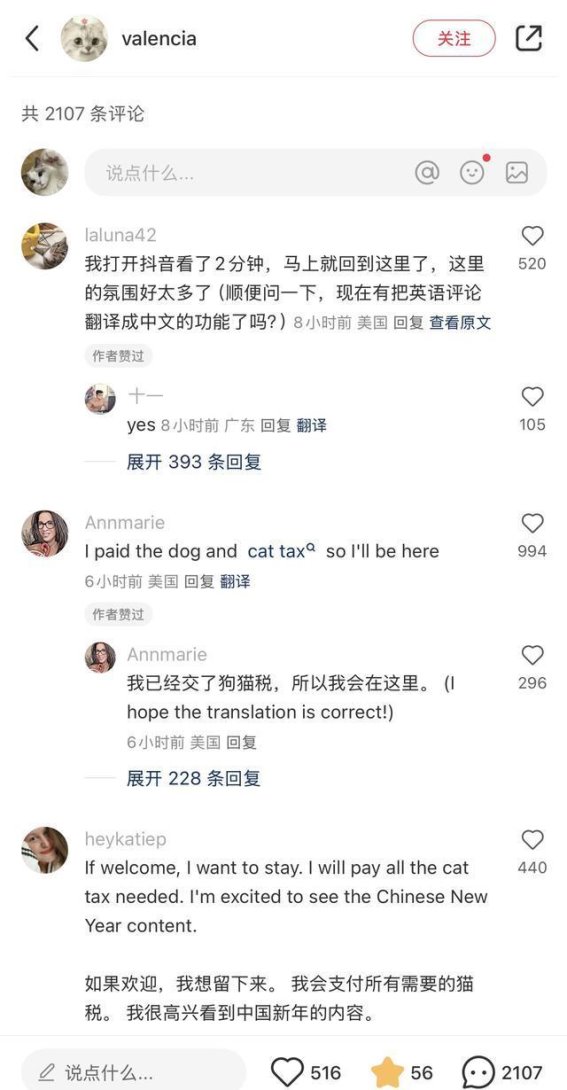 外国用户选择留在小红书后，各地文旅开启花式整活