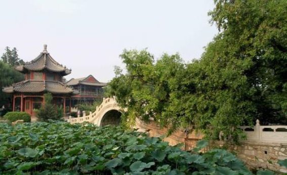 在晨光里守望家园