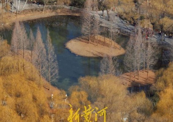 初春的济南森林公园：春意盎然，生机勃发