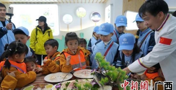 雾凇宝贝与茉莉花的邂逅：横州开启文化交流新旅程