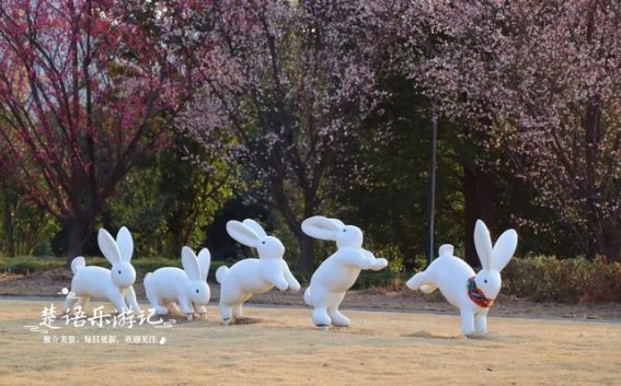 宁波仁湖公园的梅花秘境：一处宁静的赏梅宝地
