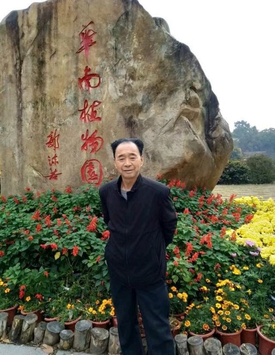 华夏文明发源地：洛阳与大足的文化印记