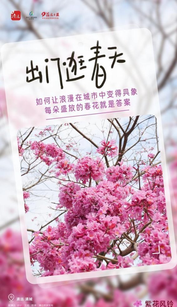 清远春日赏花全攻略，带你一起感受花海的浪漫