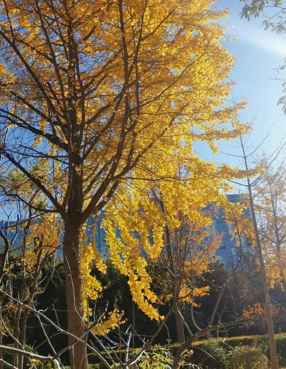 聊城未来发展的潜力与机遇
