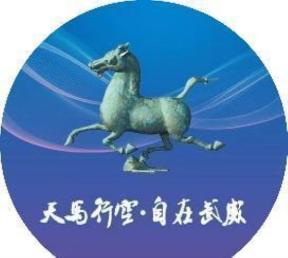 天水市张家川县关山云民宿荣获全国丙级旅游民宿称号