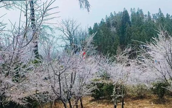 隆回白马山：冬春交替下的冰雪奇观