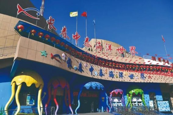 假期“余额”不足，带娃来一场海底与冰雪的亲子奇妙之旅
