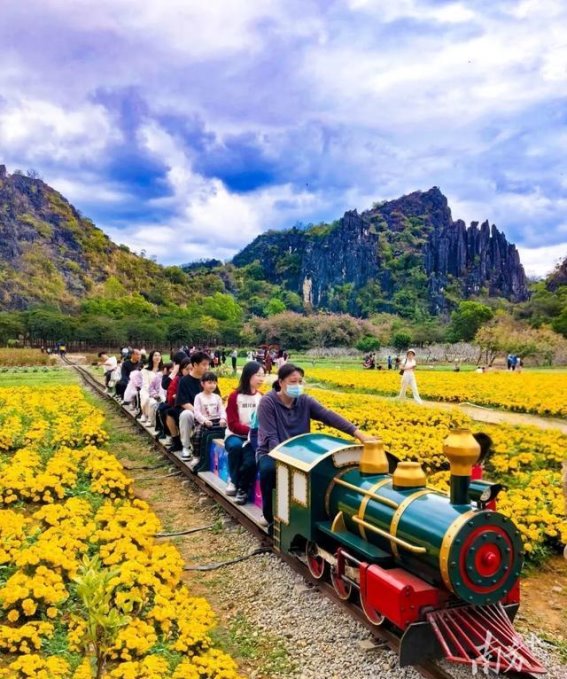 阳春市文旅产业春节大放异彩，旅游市场迎来“开门红”
