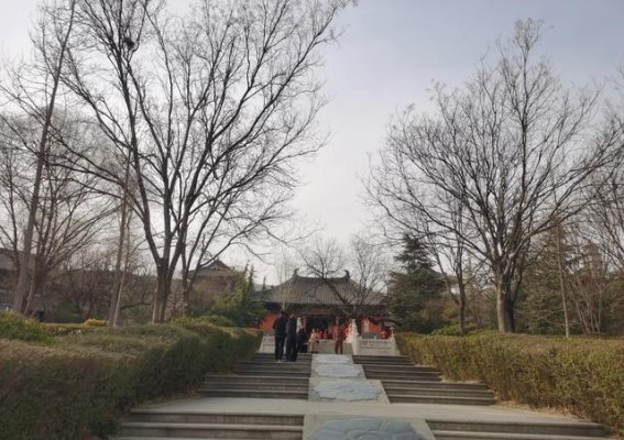 圆通寺之行：在宁静中与心灵对话