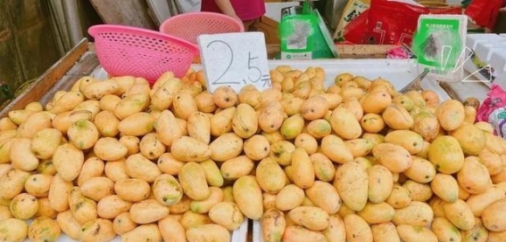 防城港：一座低调却令人惊艳的海滨小城