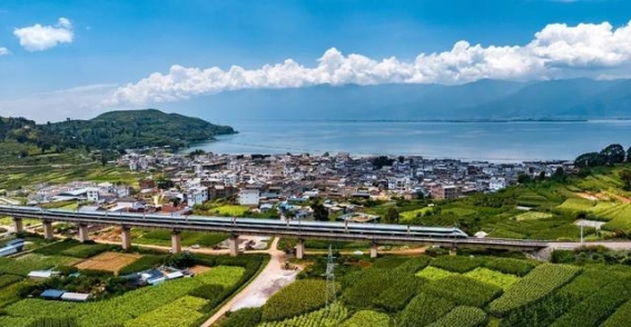银发列车：为老年人打造的温馨旅途