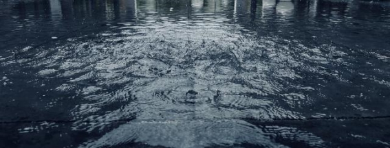 2025年2月24日至25日云南省部分风景区天气预报