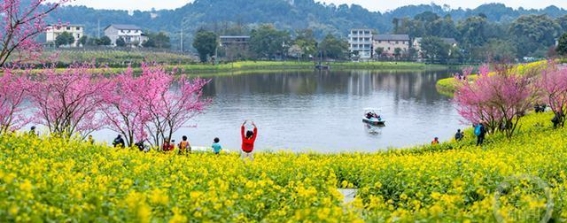 重庆巴南：湖畔花开，春意盎然