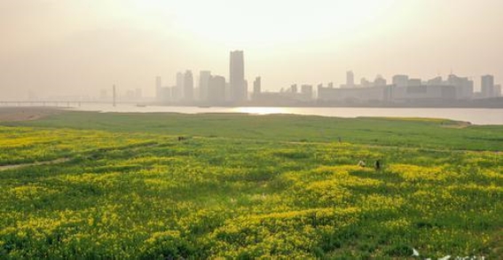 都市田园的春日印象