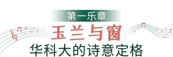 武汉早春四重奏：诗意与烟火交织的春天