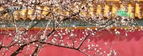 春天的脚步，吹响了大地的复苏