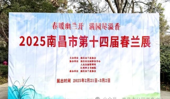 兰韵悠扬，英雄城春光与兰香共舞