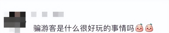 男子自称在迪士尼假扮员工引发争议，官方回应严禁此举