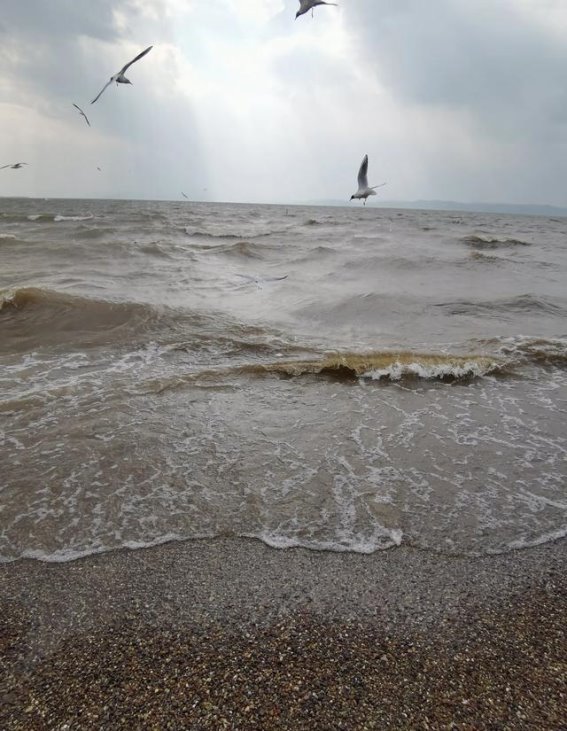 自驾云南第十六天（中）：捞鱼河湿地公园的自然之美