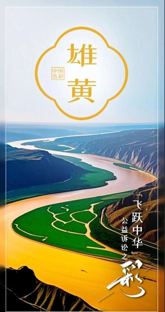 黄河三角洲的守护之路：公益诉讼与生态保护的共鸣