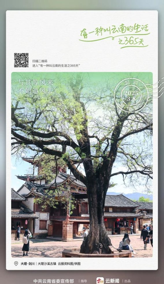 沙溪古镇：追风的悠然时光