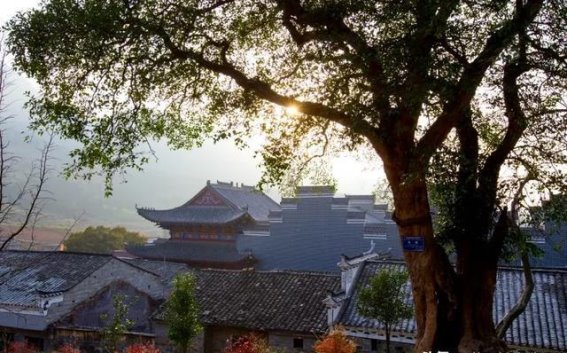春光灿烂，花海相伴——大冶春季赏花节即将开启