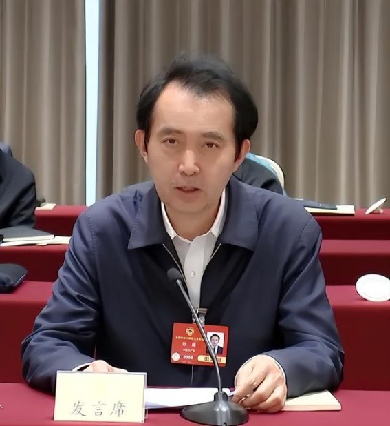 春日里的一缕温暖