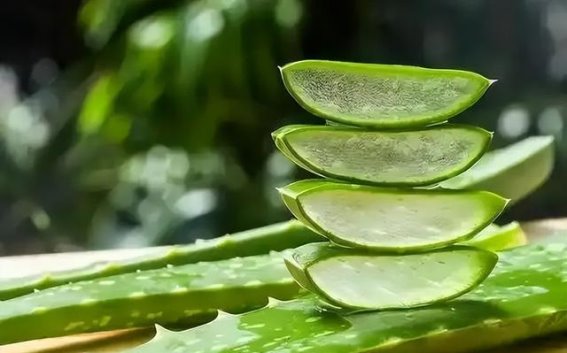 肾病患者该避开哪些食物？医生特别提醒三类食品
