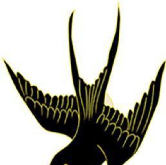 春季湿气最重，用砂仁祛湿效果比薏米强