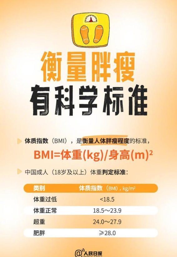 2024年体重管理：科学减肥的九大关键