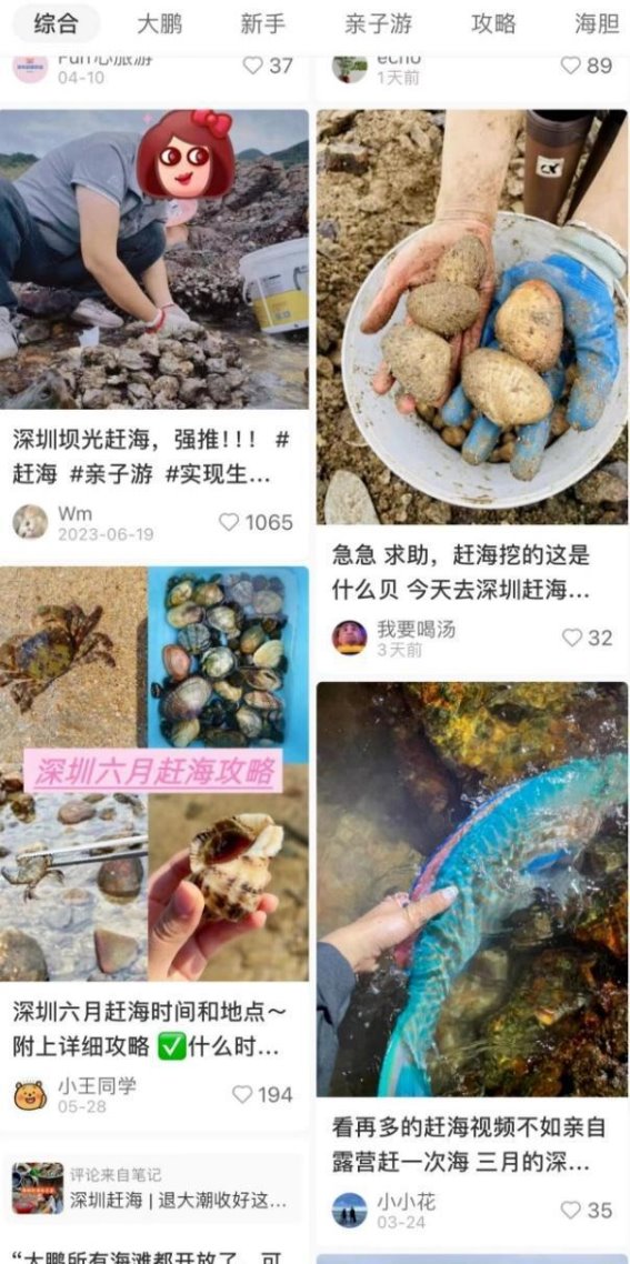 警惕海鲜中的创伤弧菌：不容忽视的致命风险