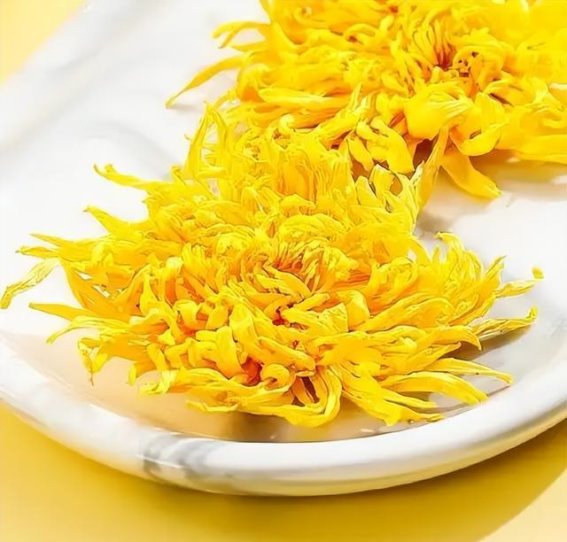 春季喝菊花茶带来的三大变化，了解这些你也能受益