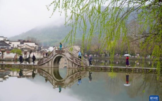 春日黟县：古韵与新风交织的文旅之旅