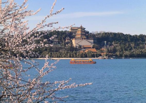 北京市属公园春季踏青赏花活动精彩纷呈