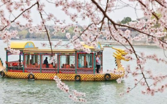 北京市属公园推出40余处踏青赏花片区，春日美景邀您共赏