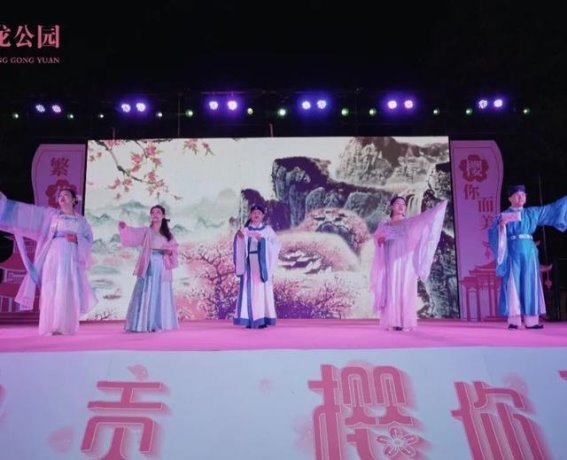 呈贡樱花节：文化与春光交织的盛宴