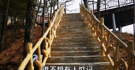 孤独行走，坚守自我