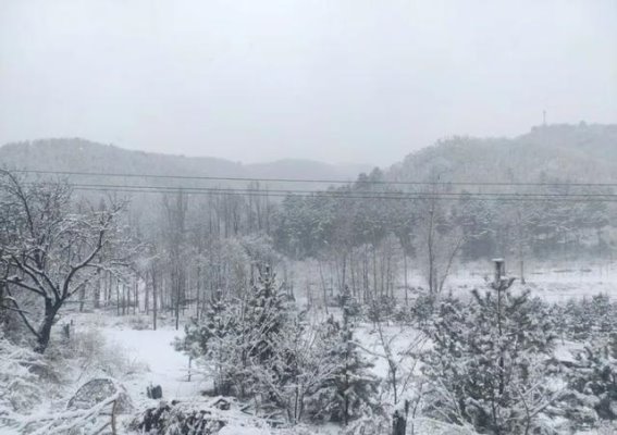 怀柔春雪，银装素裹的宁静之美