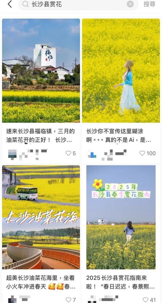 春游长沙：低价机票与花海美景的完美邂逅