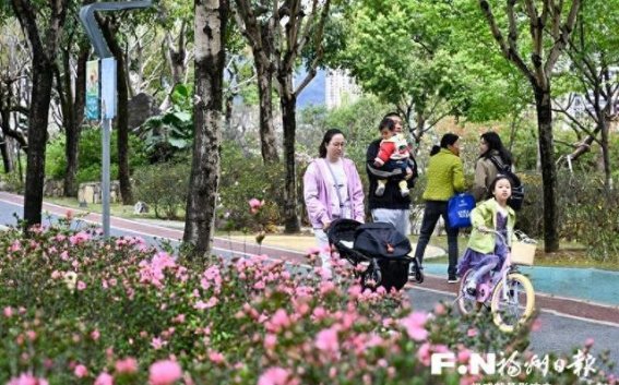 琴亭湖公园的春日花海：杜鹃花提前绽放迎接游客