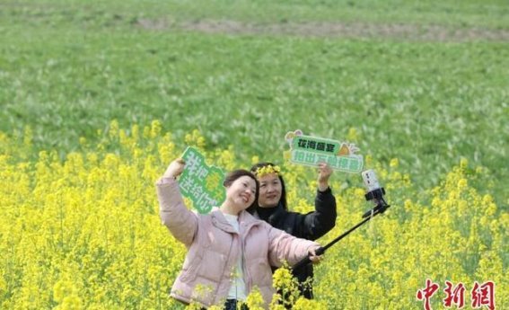 春暖花开，彭泽万亩油菜花绽放助力乡村振兴