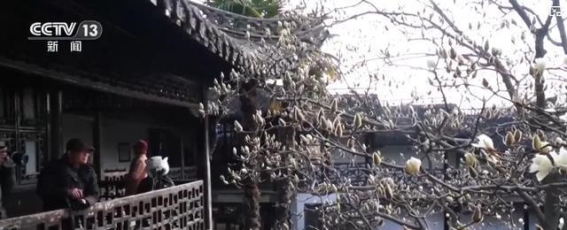 三月扬州：春风十里，旅游消费的热潮