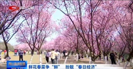 春光明媚，四川春日经济迎来新机遇